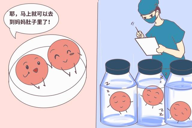 哪些胚胎可用于移植？了解下！