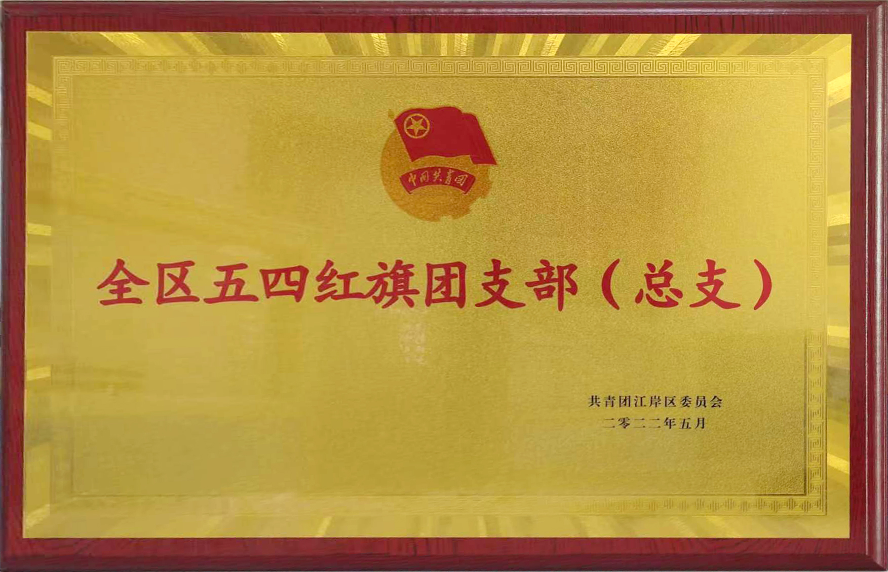共青團成立100周年之際，東信醫(yī)藥團支部喜獲武漢市江岸區(qū)“全區(qū)五...